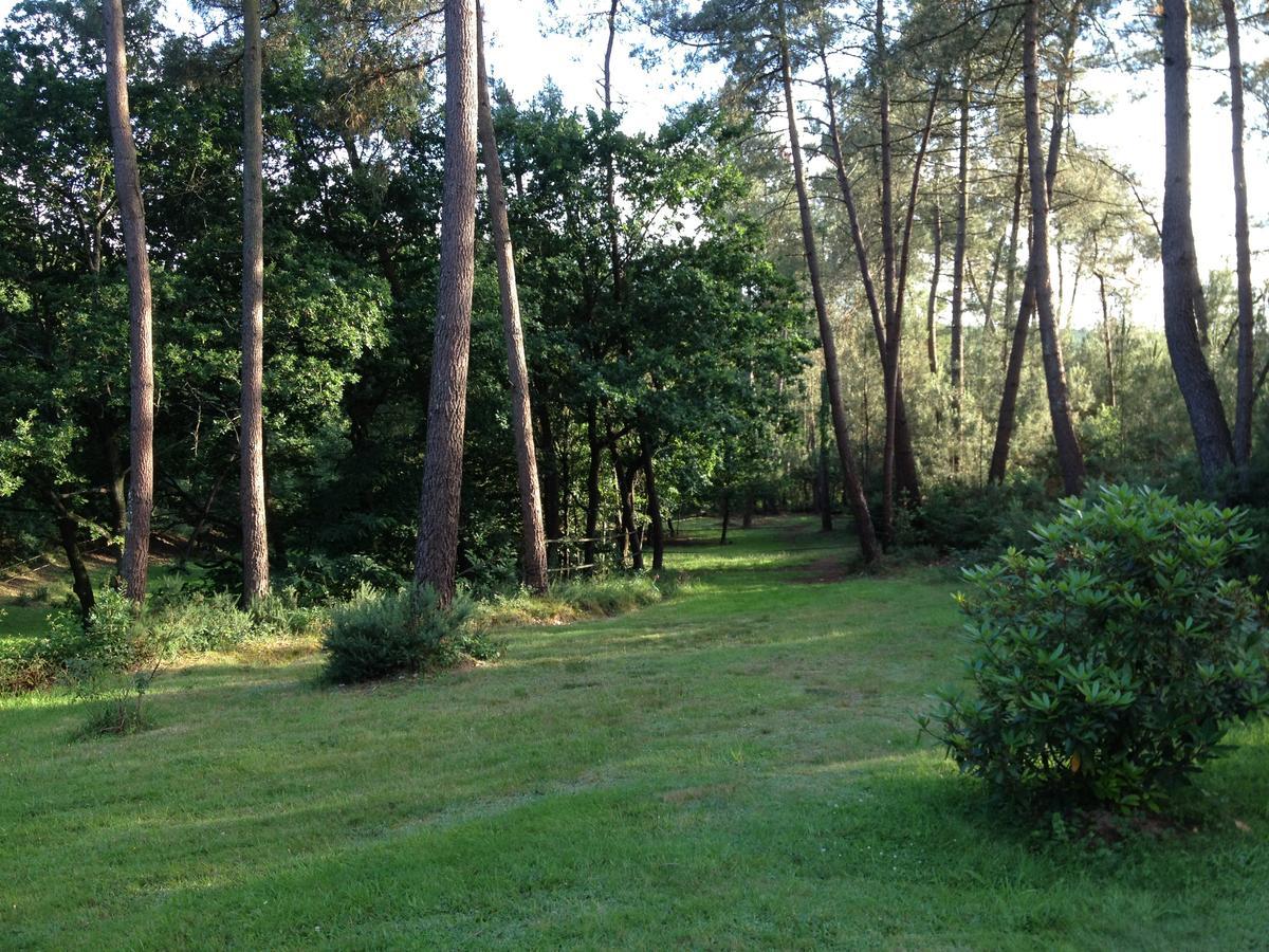 L'Hippocampe Bed and Breakfast Sérent Exteriör bild
